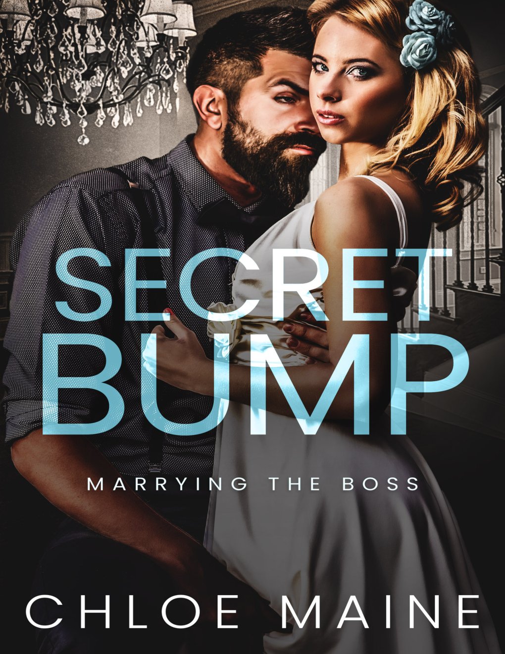 Cover of Secret Bump