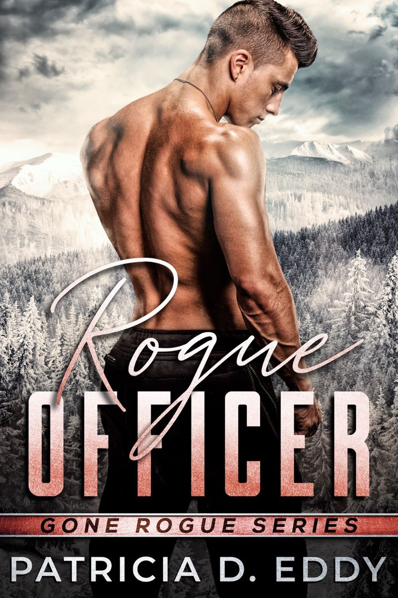Cover of Rogue Officer