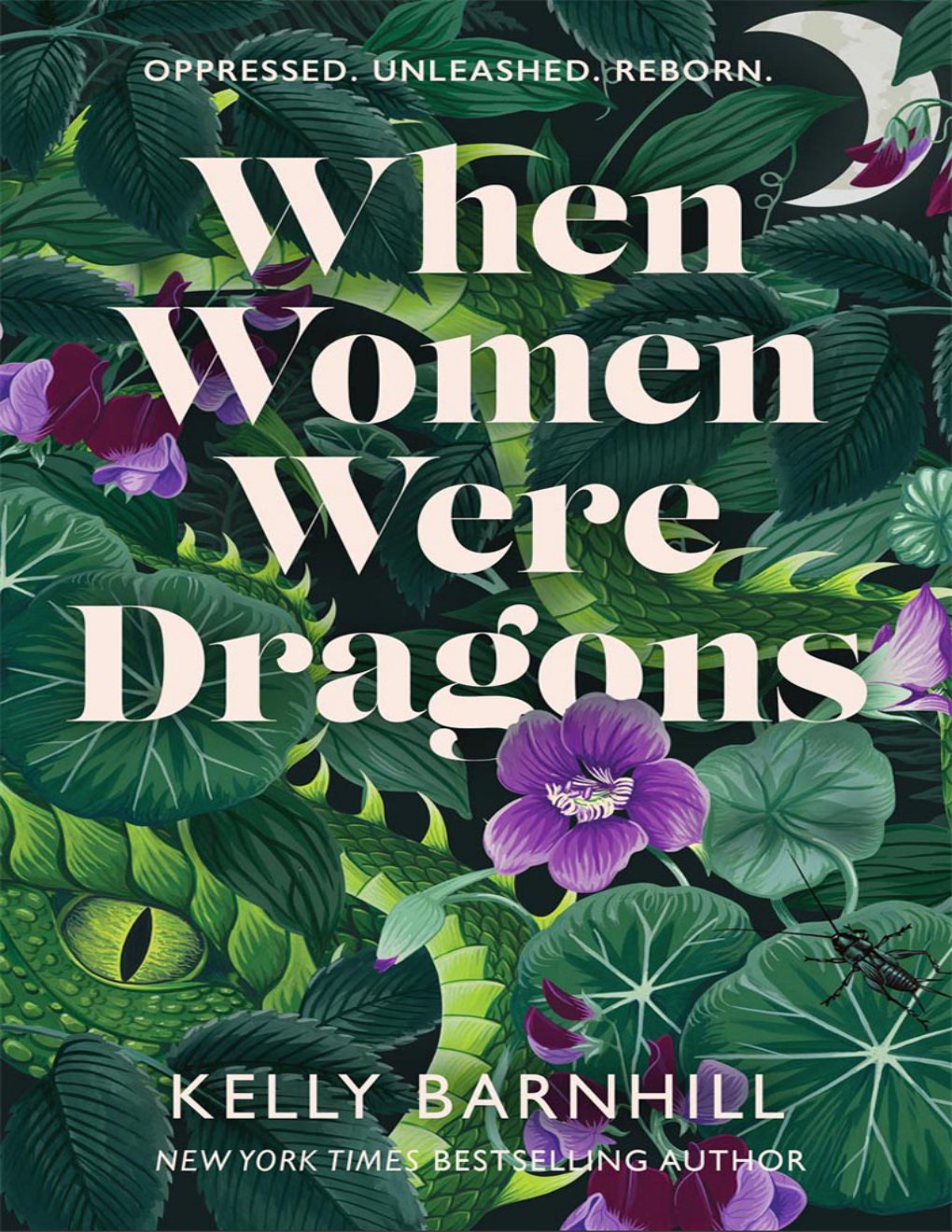 Cover of When Women Were Dragons