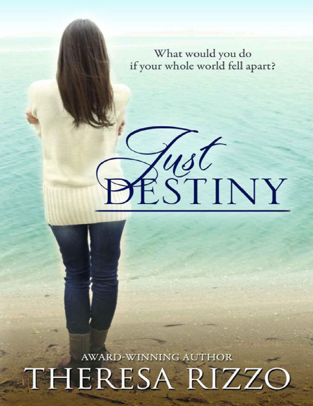 Cover of Just Destiny