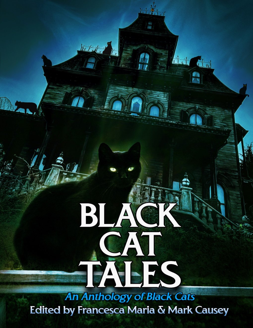 Cover of Black Cat Tales (2025)