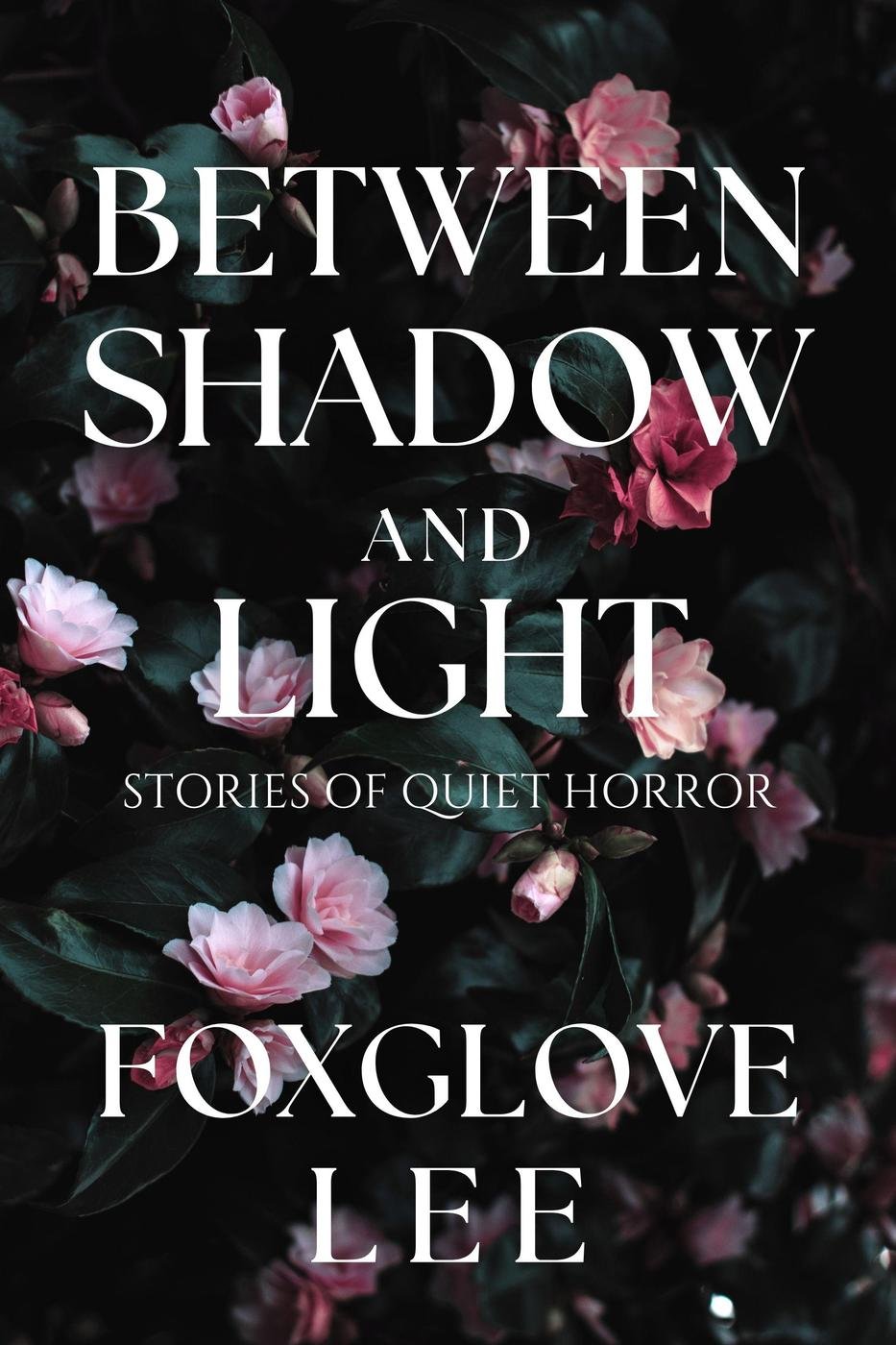 Cover of Between Shadow and Light- Stories of Quiet Horror (2025)