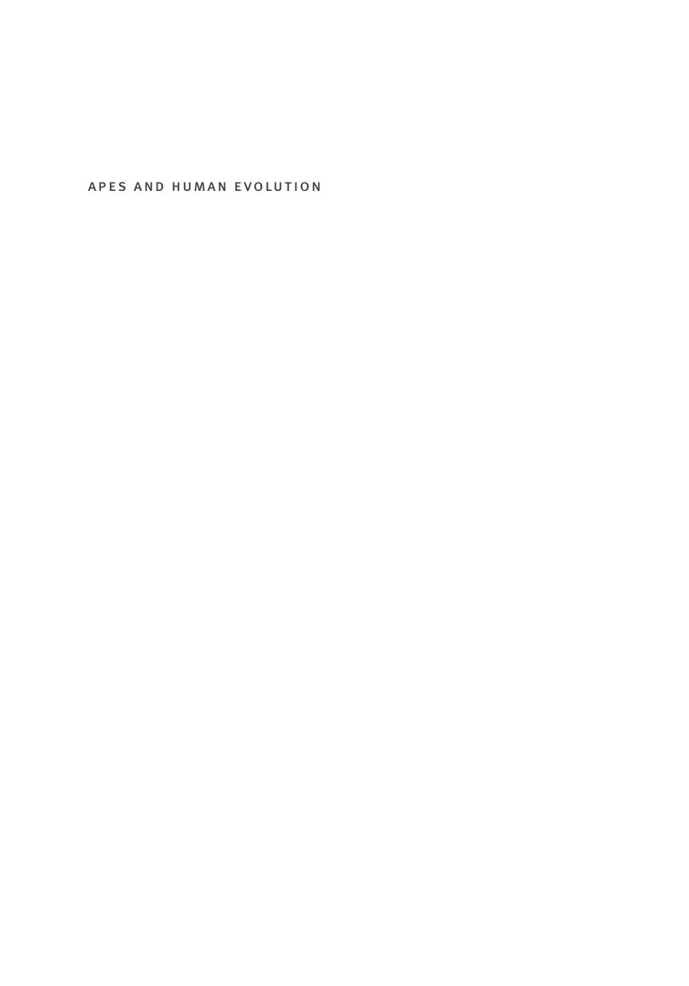 Cover of apes and human evolution