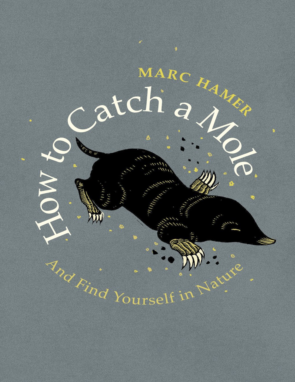 Cover of How to Catch a Mole