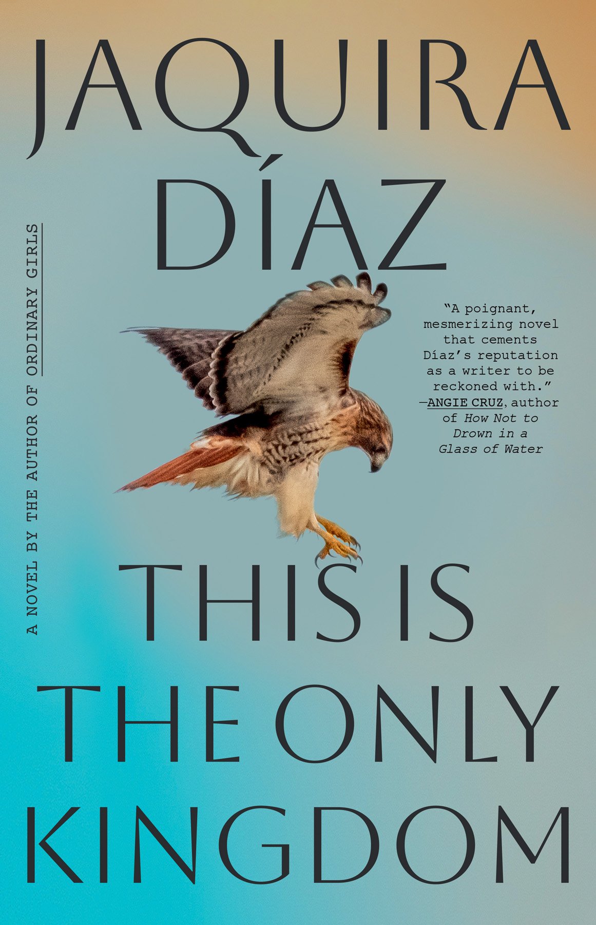 Cover of This Is the Only Kingdom