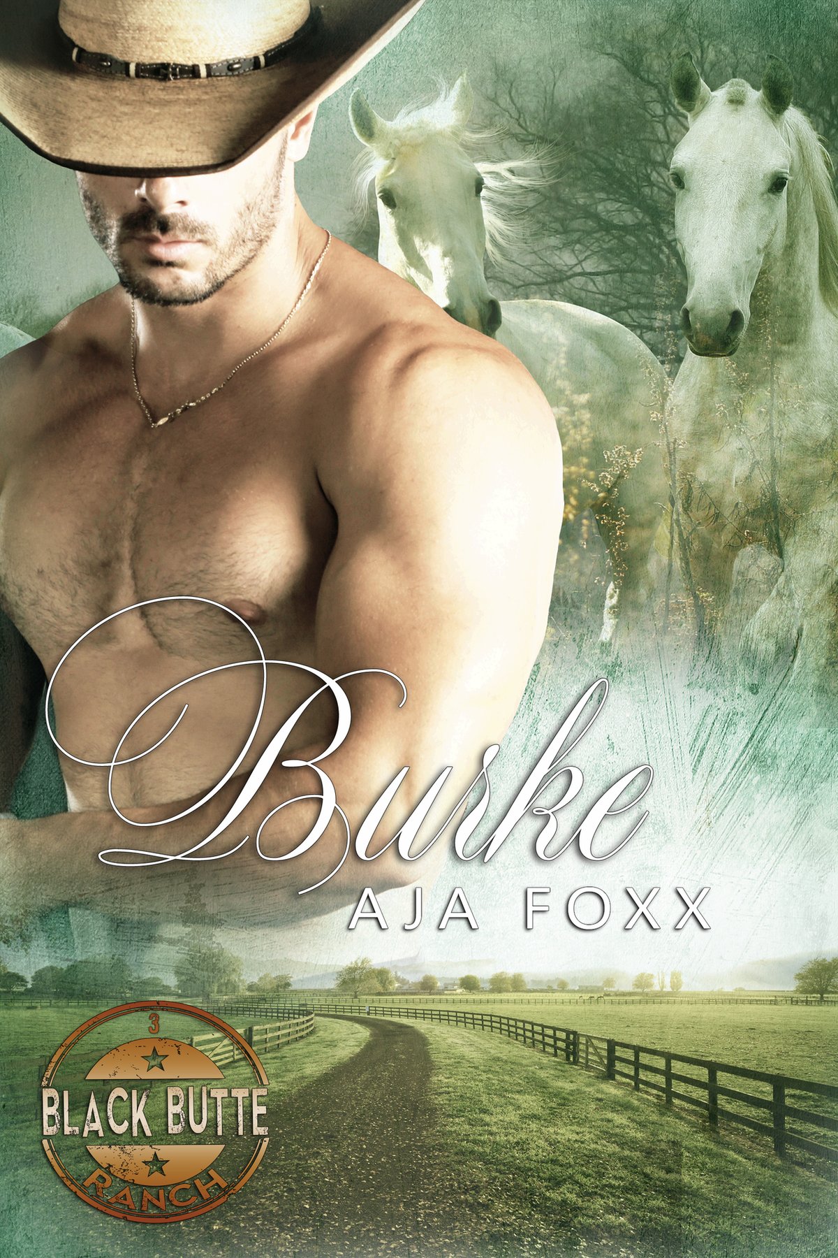 Cover of Burke (Black Butte Ranch Book 3)
