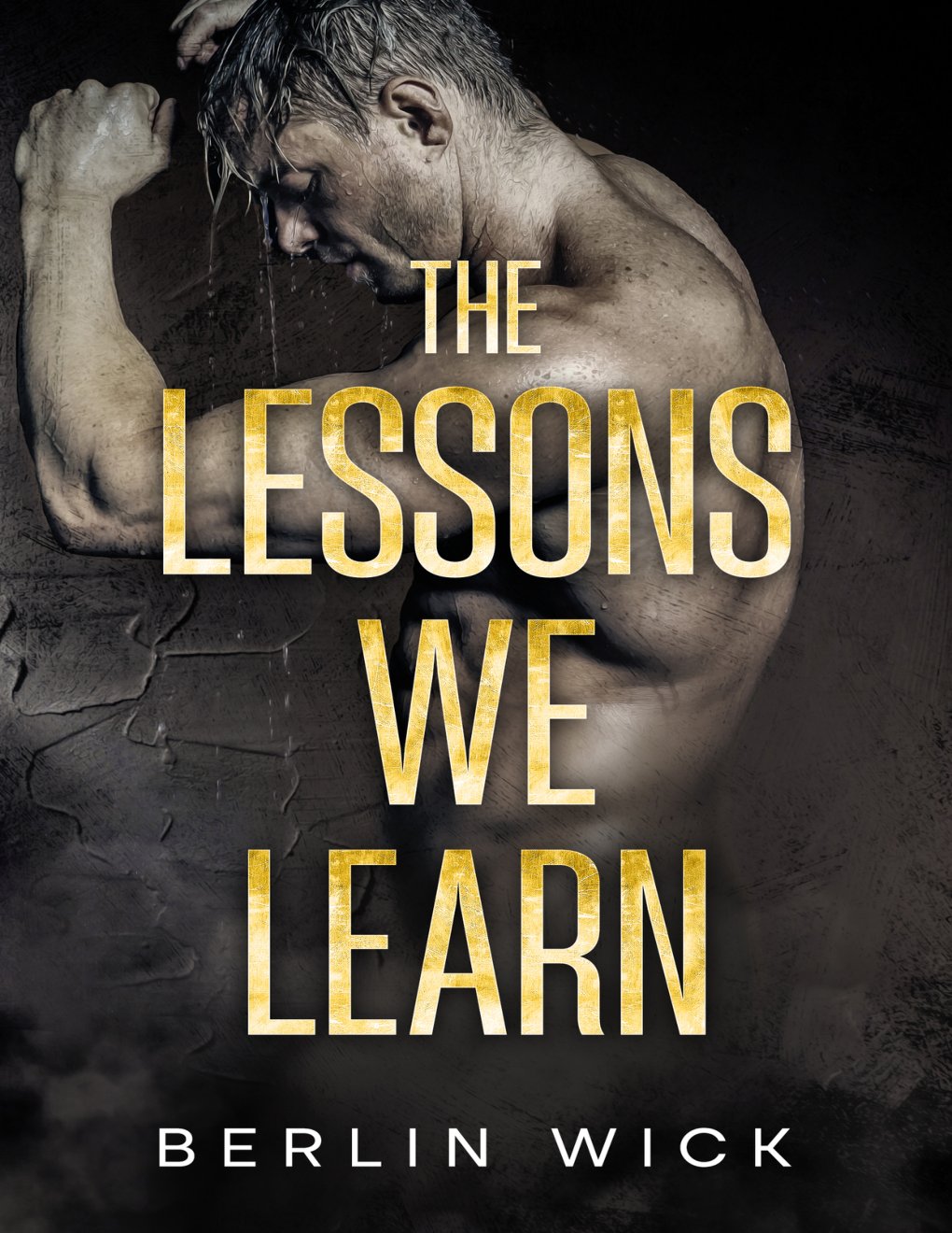 Cover of The Lessons We Learn