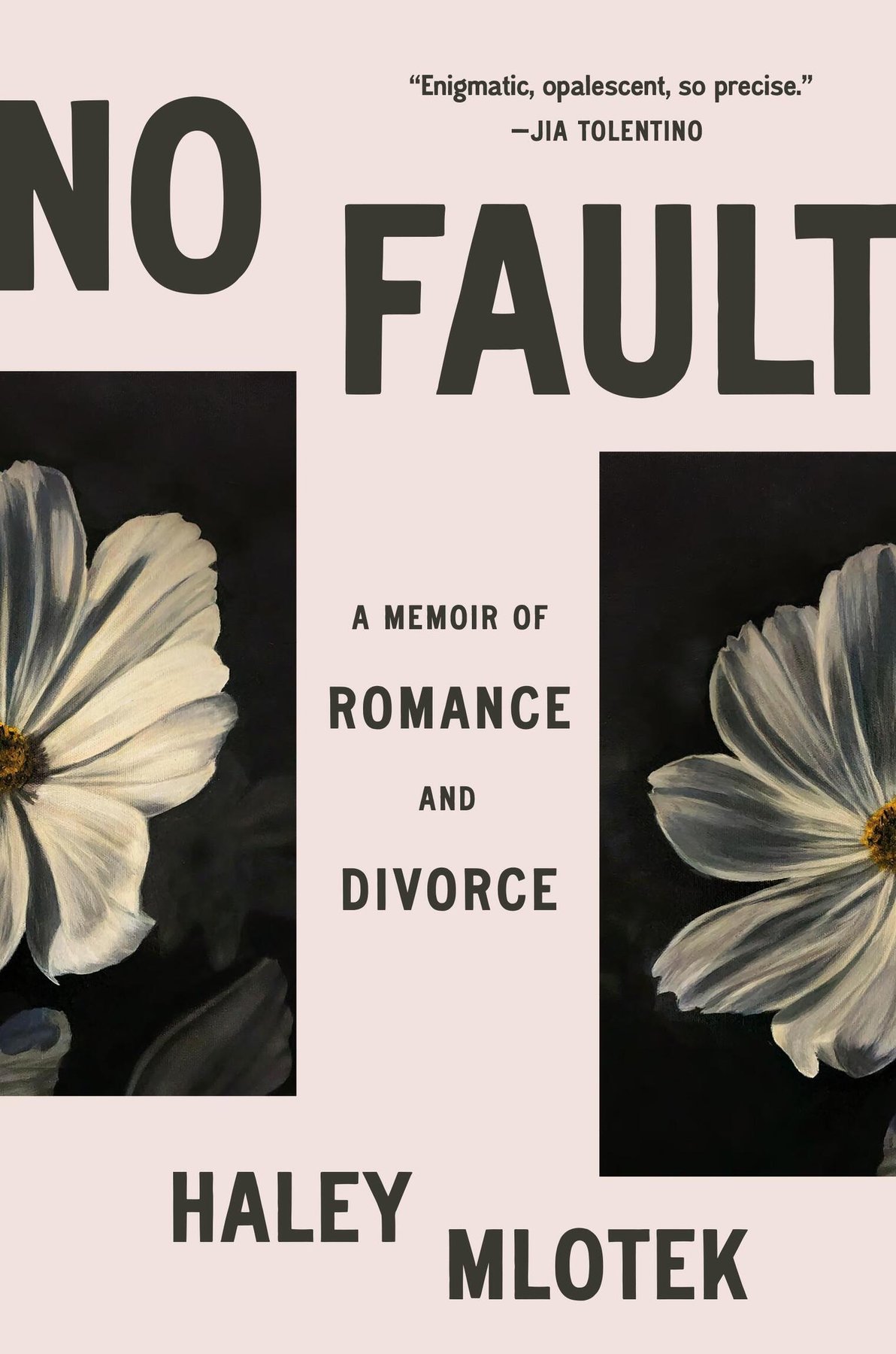 Cover of No Fault