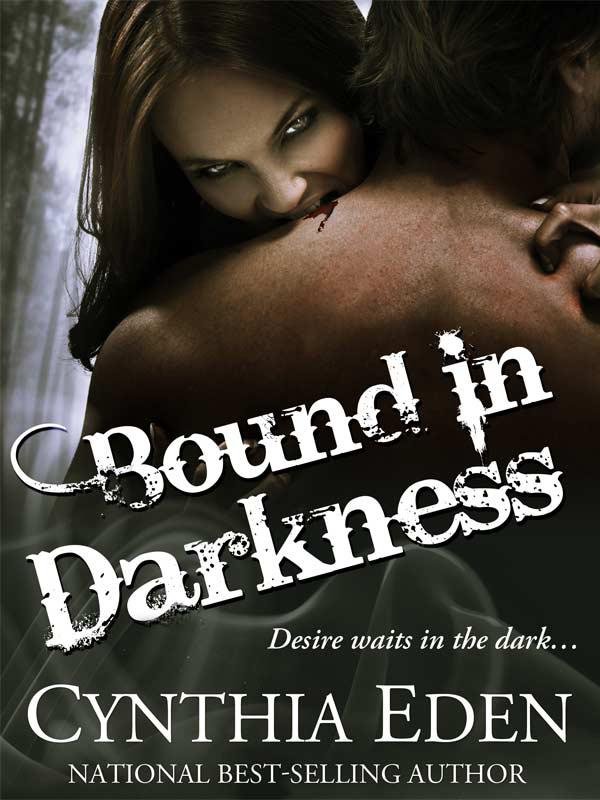 Cover of Bound In Darkness (2011)