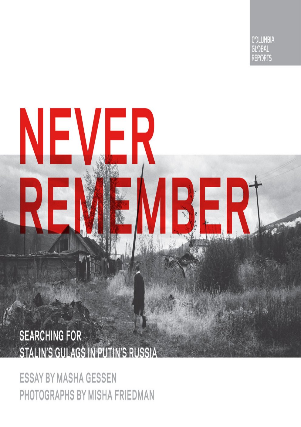 Cover of Never Remember (1924)