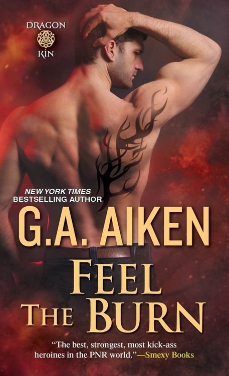 Cover of Feel the Burn (2015)