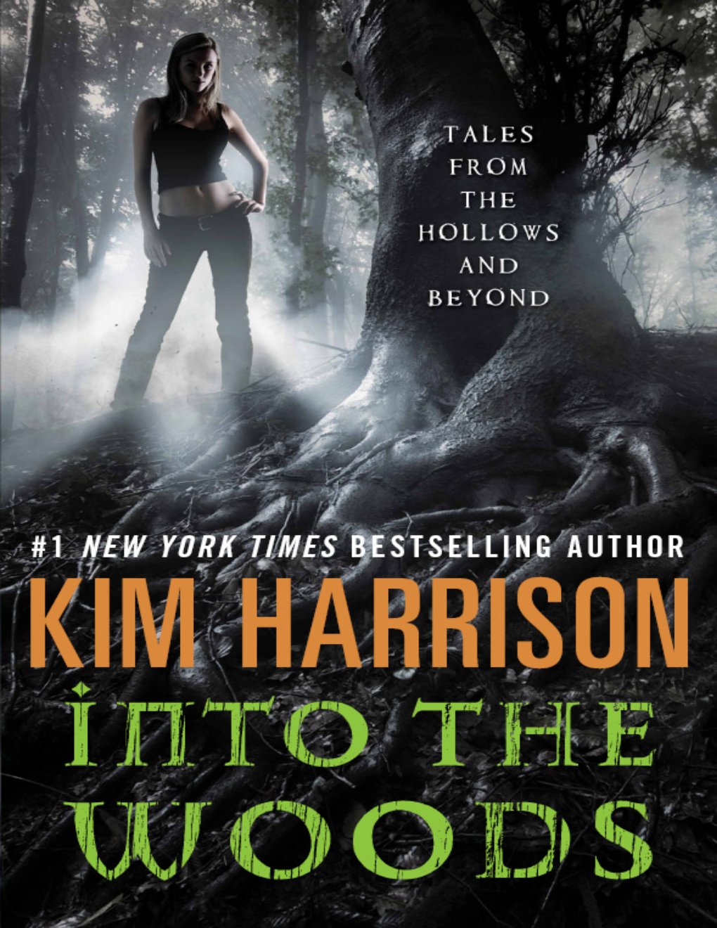 Cover of Into the Woods (2000)