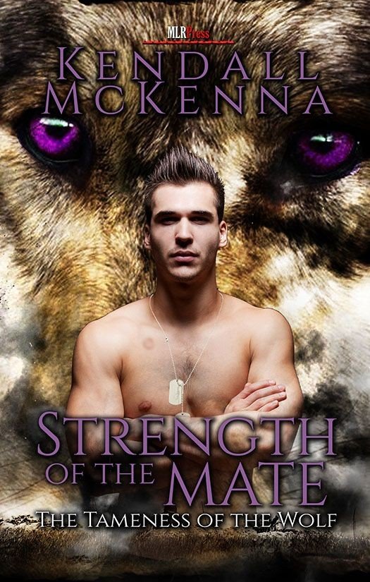 Cover of 03-Strength of the Mate