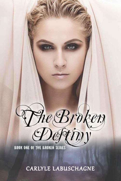 Cover of The Broken Destiny