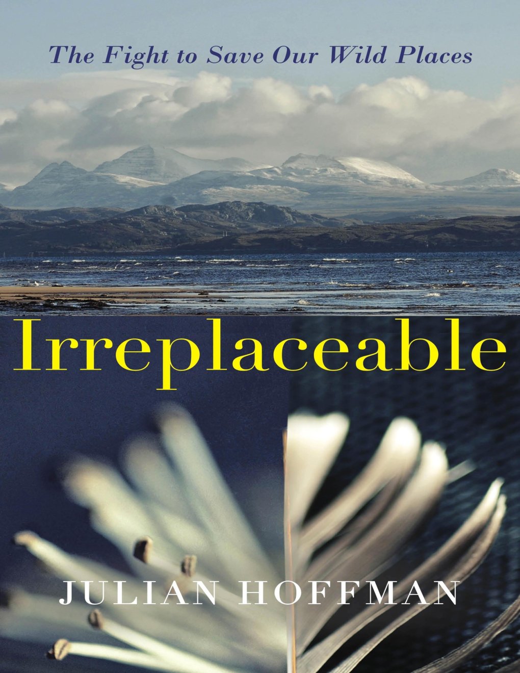 Cover of Irreplaceable