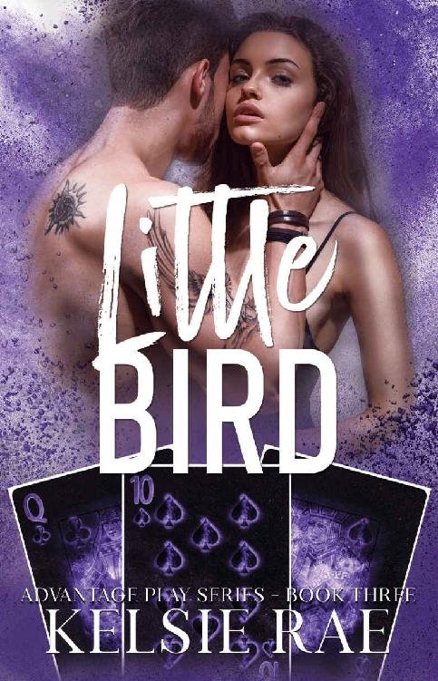 Cover of Little Bird (Advantage Play Series Book 3)