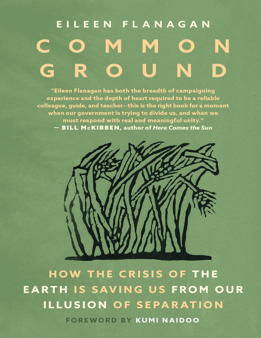 Cover of Common Ground