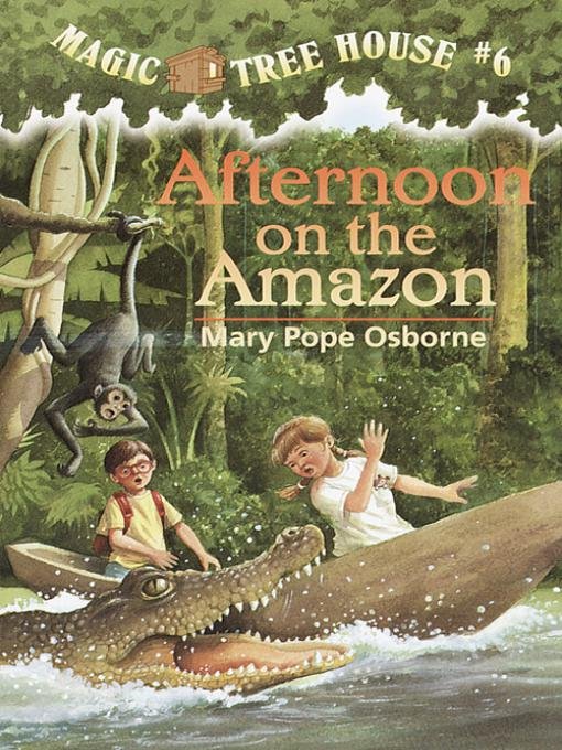 Cover of Afternoon on the Amazon (1995)