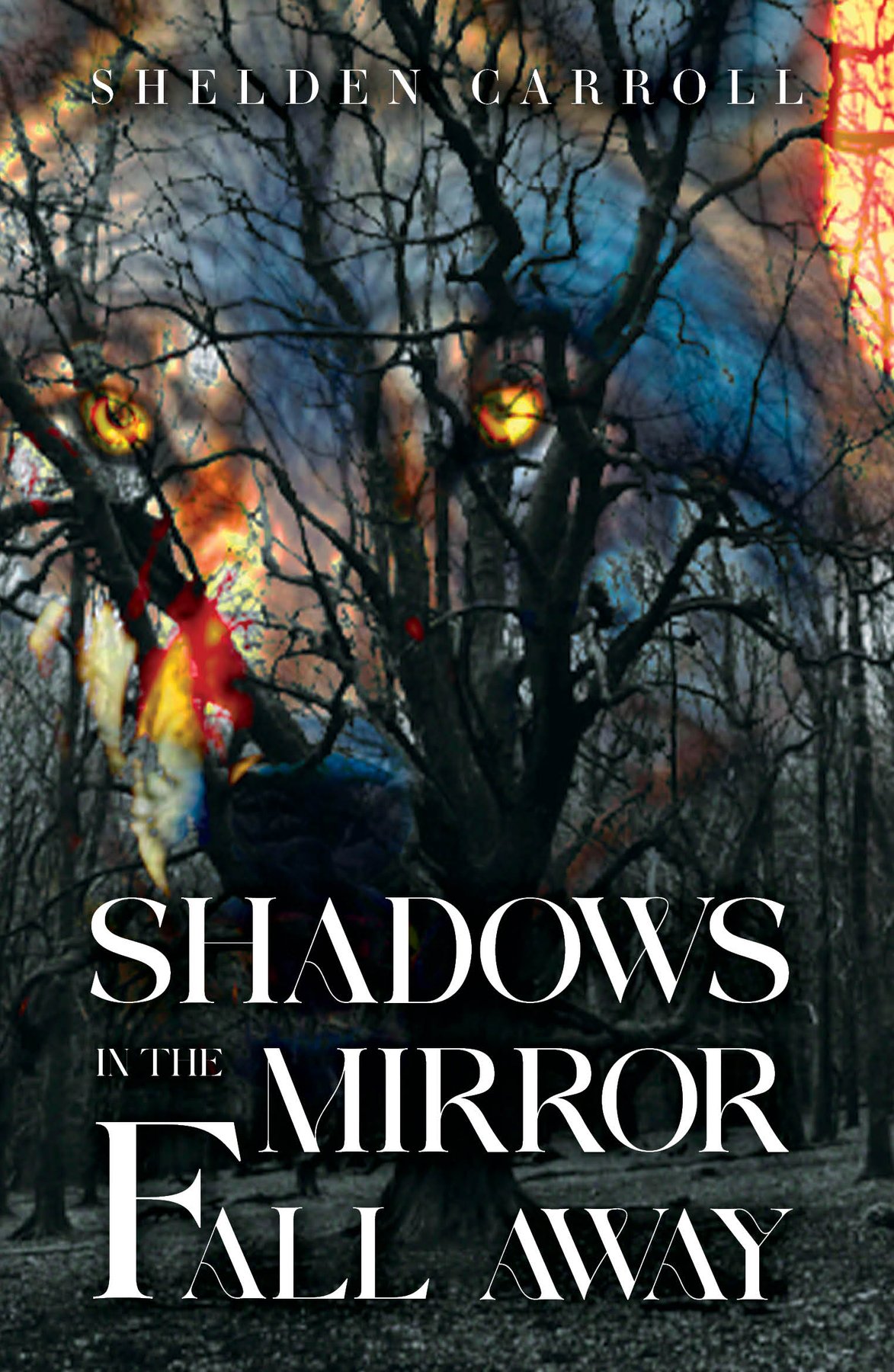Cover of Shadows in the Mirror Fall Away (2001)
