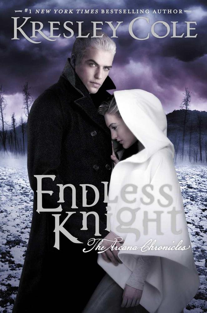 Cover of Endless Knight