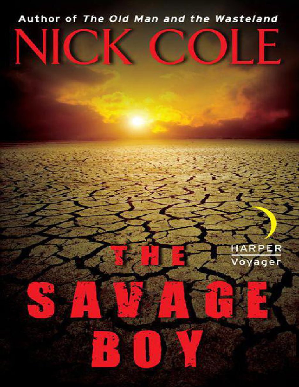 Cover of The Savage Boy