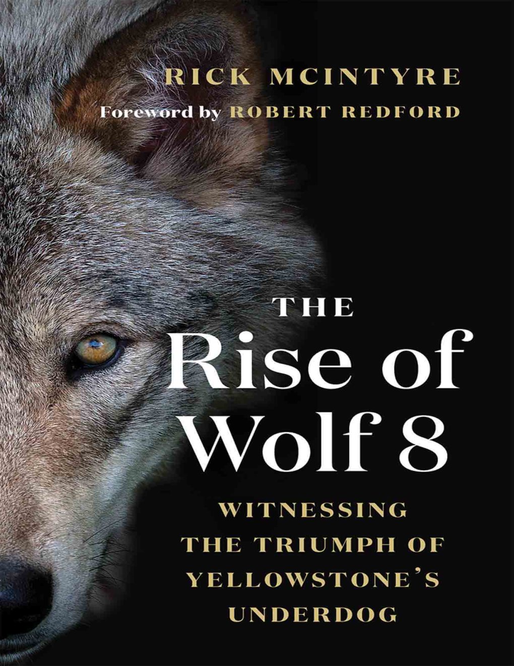 Cover of The Rise of Wolf 8