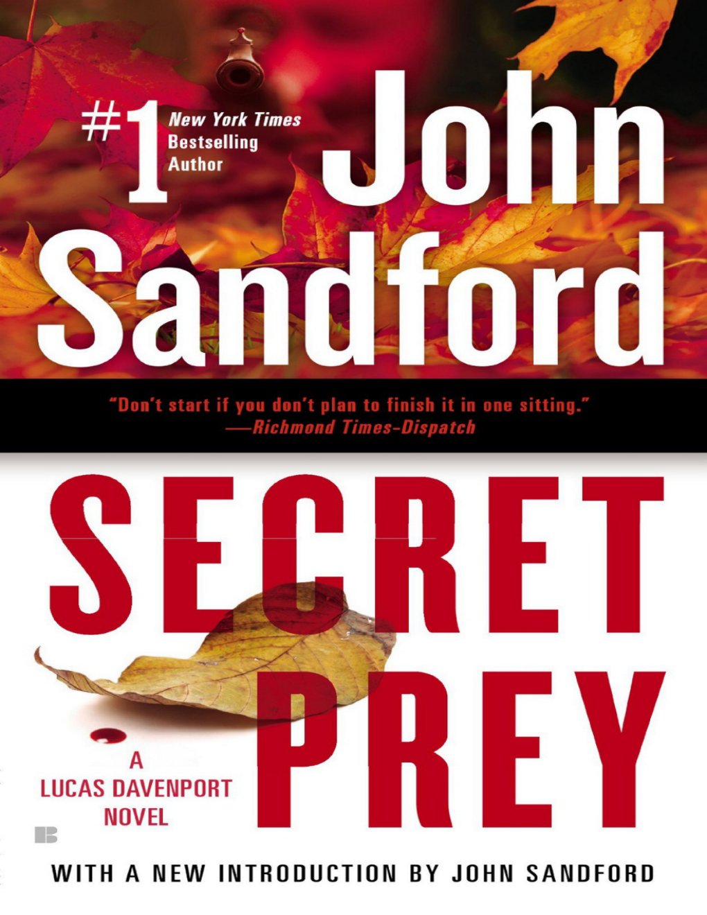 Cover of Secret Prey