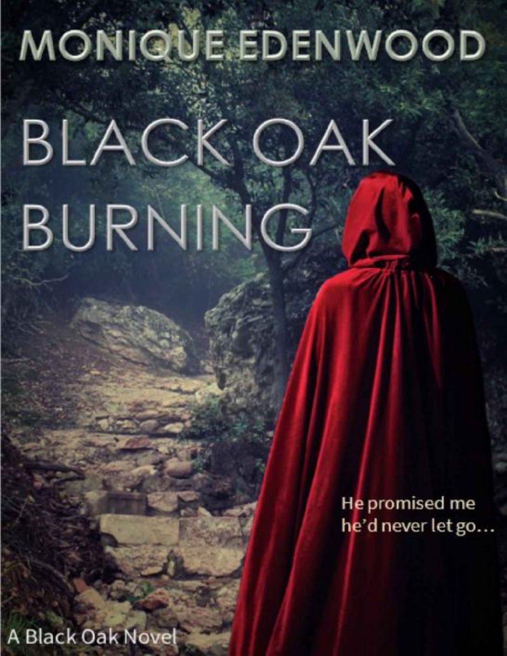 Cover of Black Oak Burning