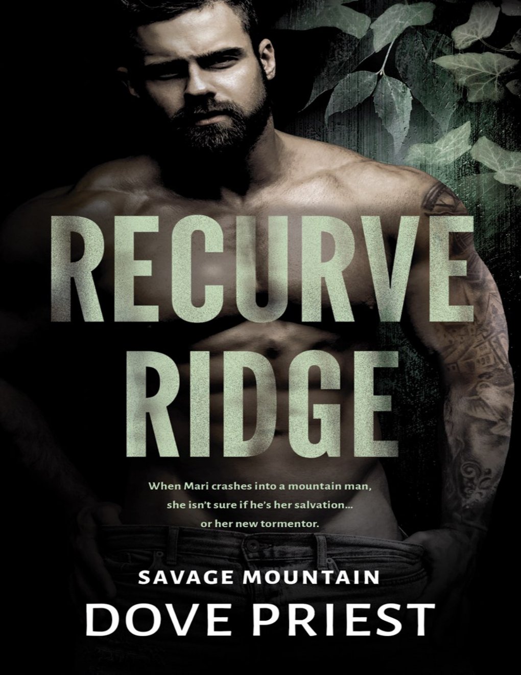 Cover of Recurve Ridge