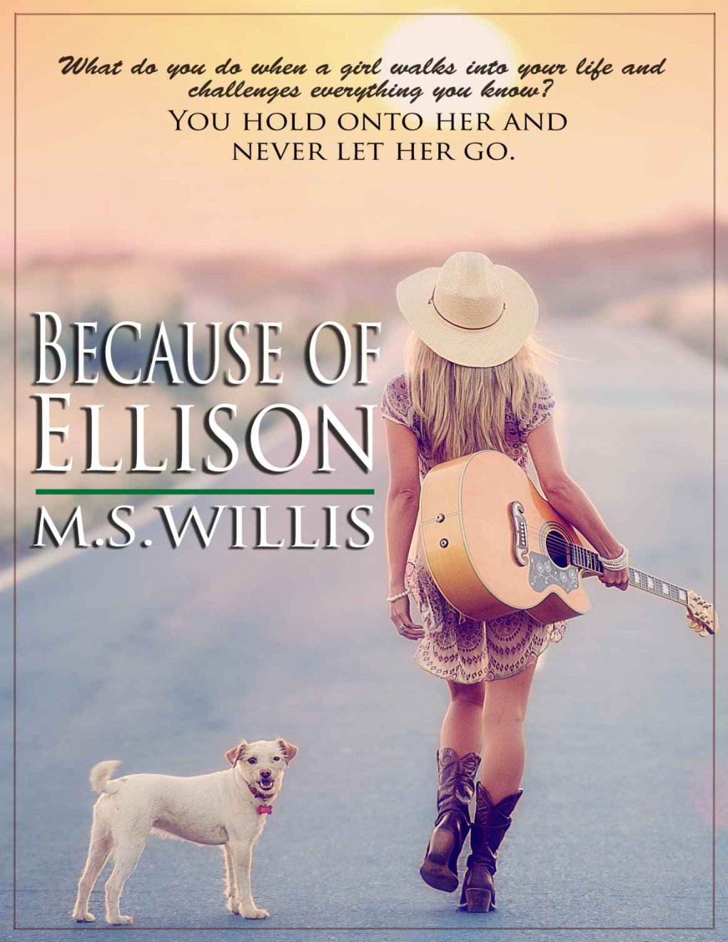 Cover of Because of Ellison