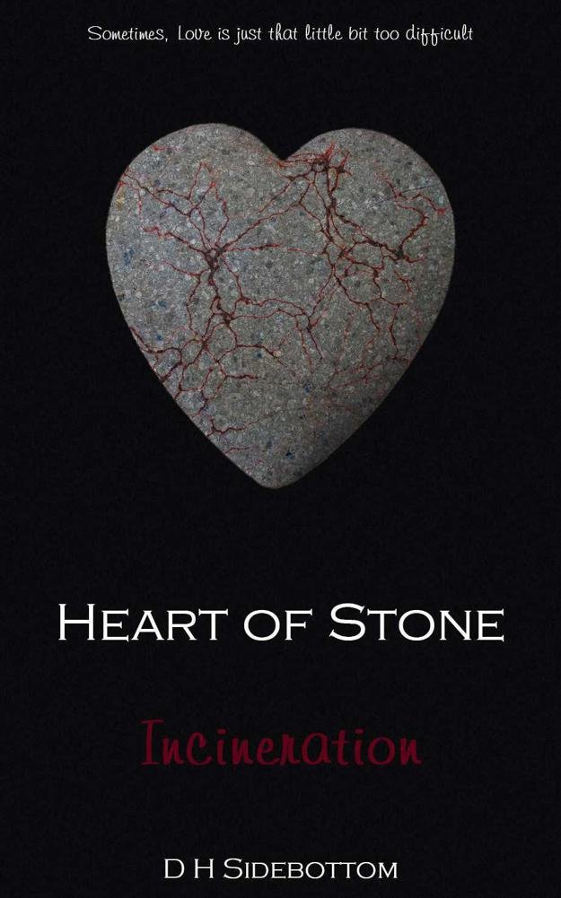 Cover of Incineration