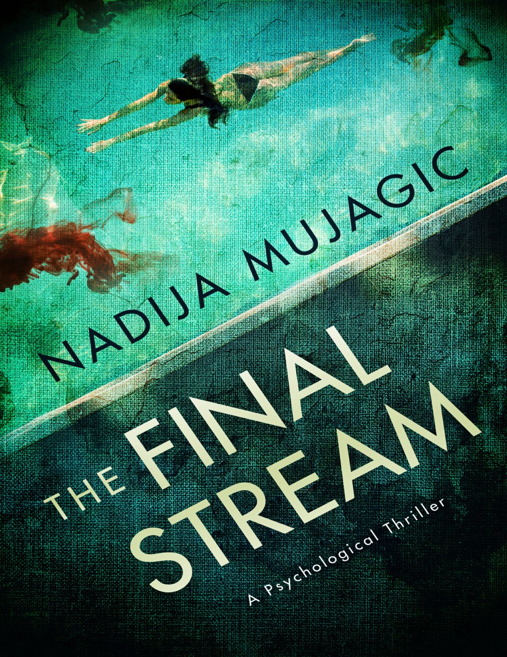 Cover of The Final Stream: A Psychological Thriller