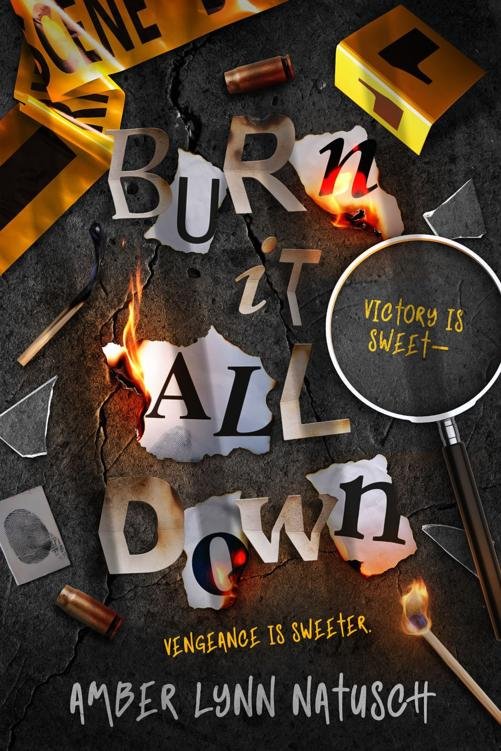 Cover of Burn It All Down (2025)