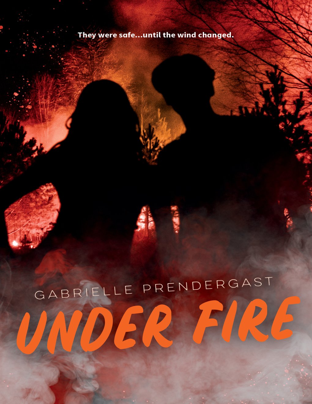 Cover of Under Fire