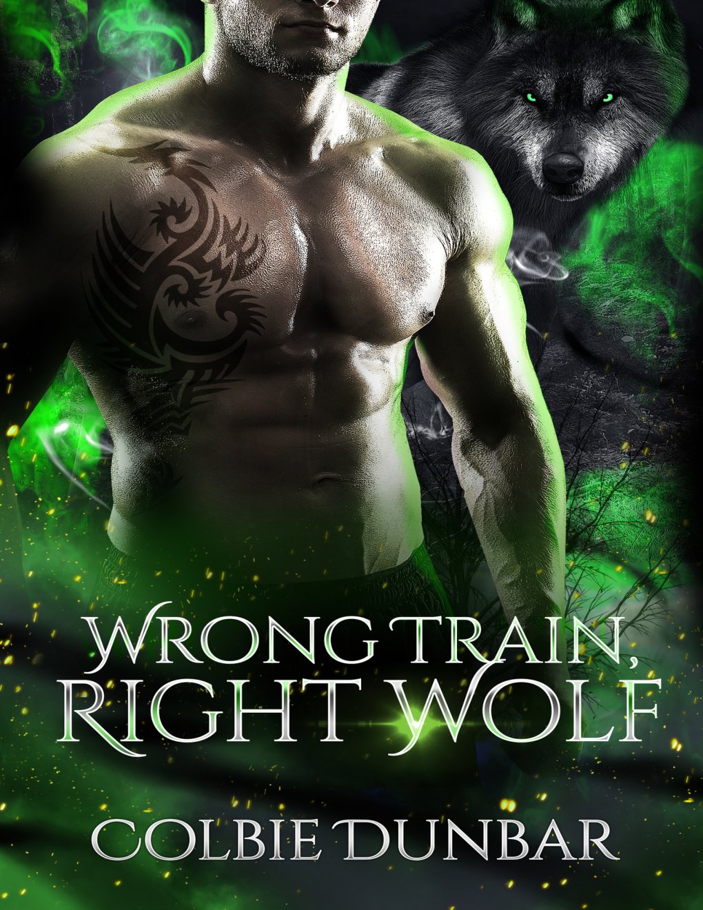 Cover of Wrong Train, Right Wolf: An Mpreg Shifter Romance