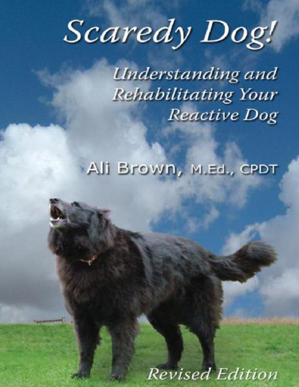Cover of Scaredy Dog! Understanding & Rehabilitating Your Reactive Dog