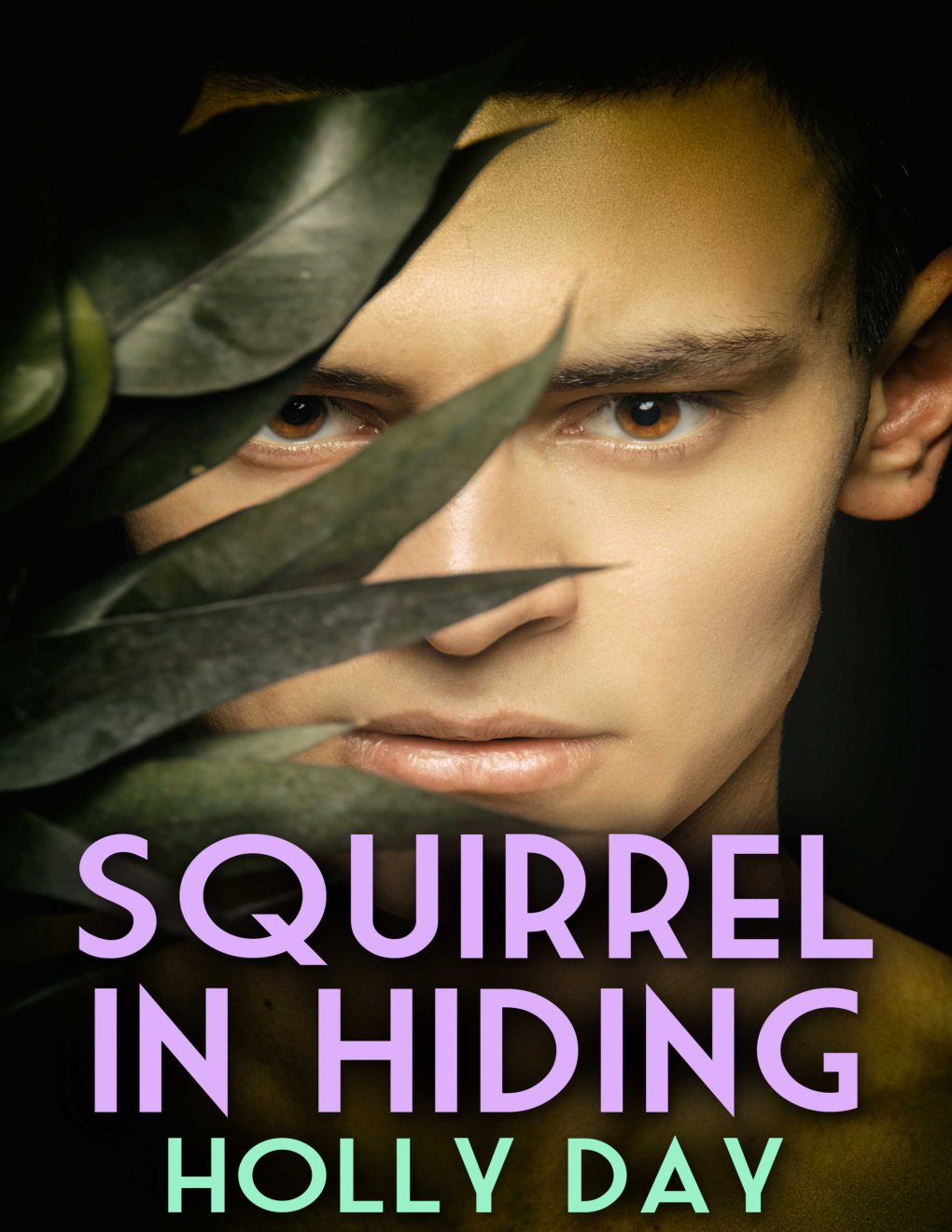 Cover of Squirrel in Hiding