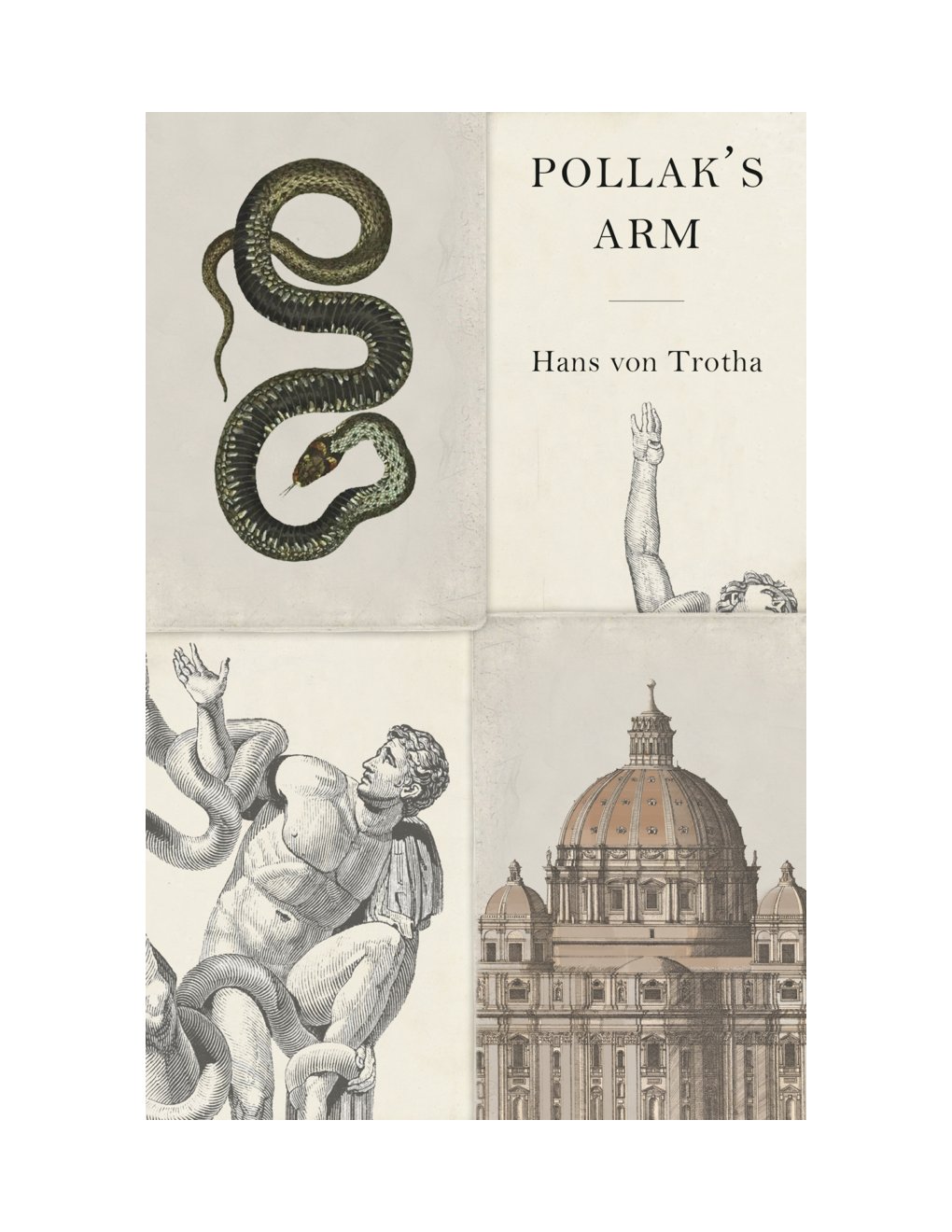 Cover of Pollak's Arm