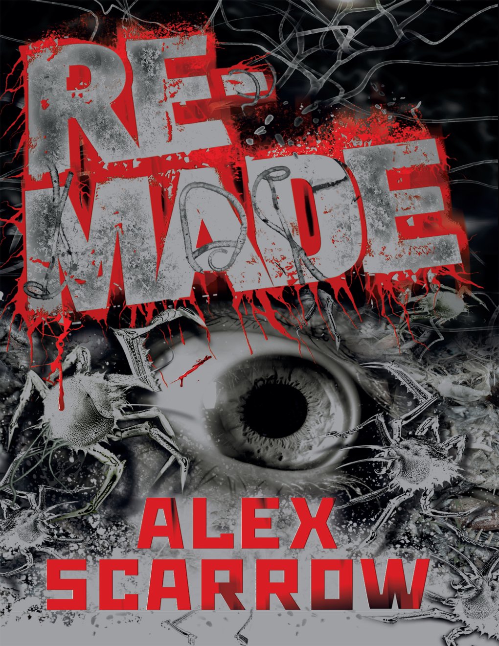Cover of REMADE