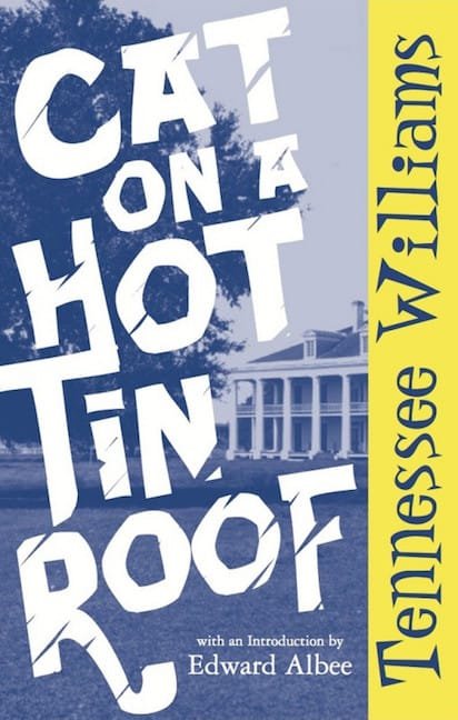 Cover of Cat on a Hot Tin Roof