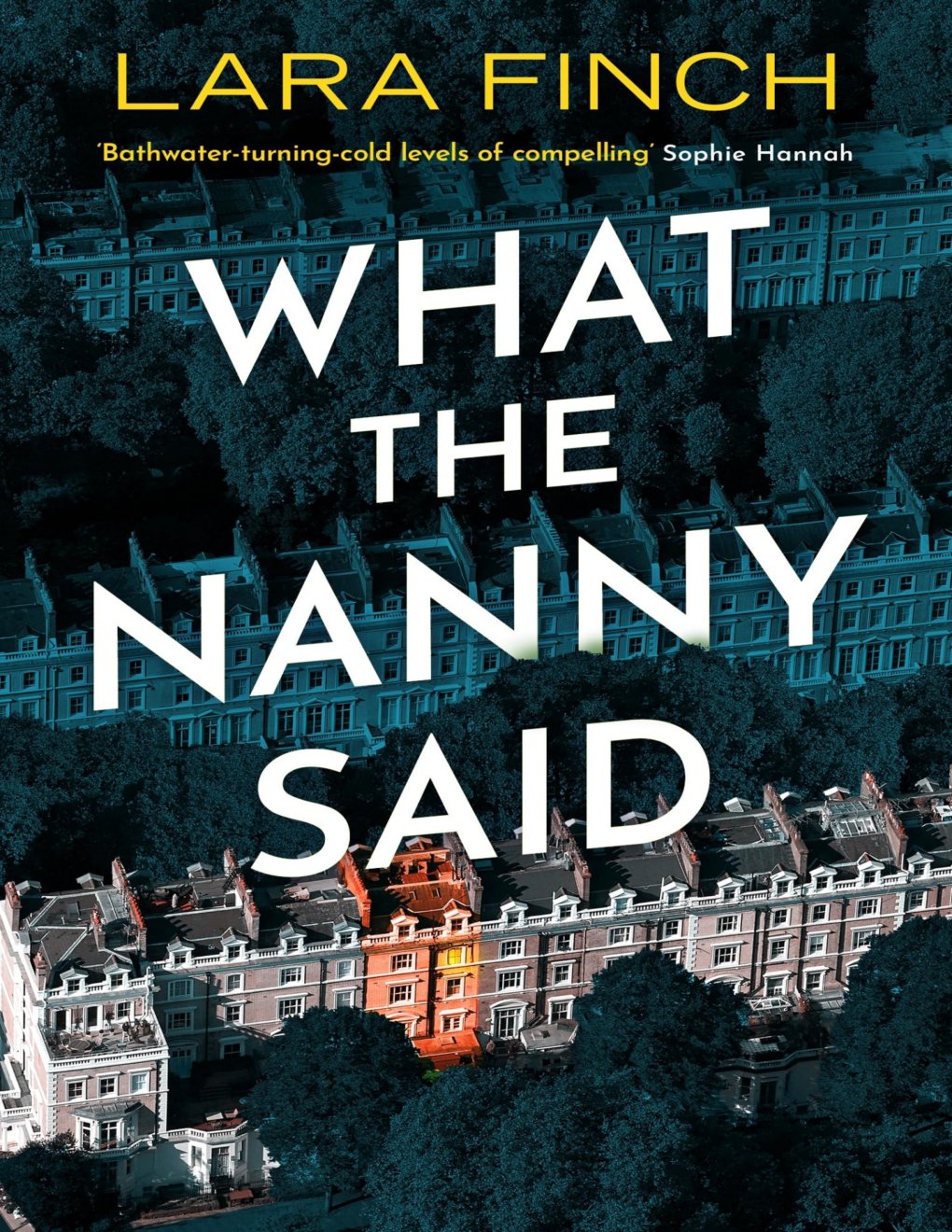 Cover of What the Nanny Said (2025)