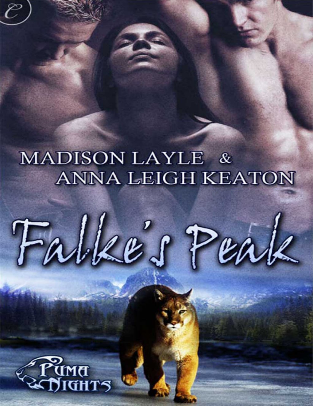 Cover of Falke's Peak