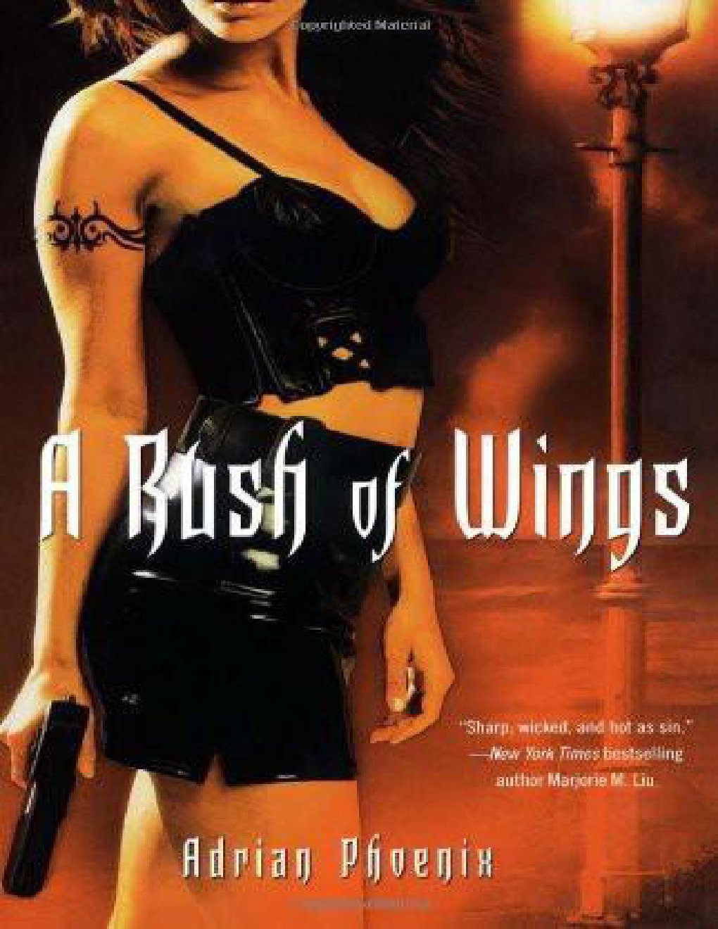 Cover of A Rush of Wings