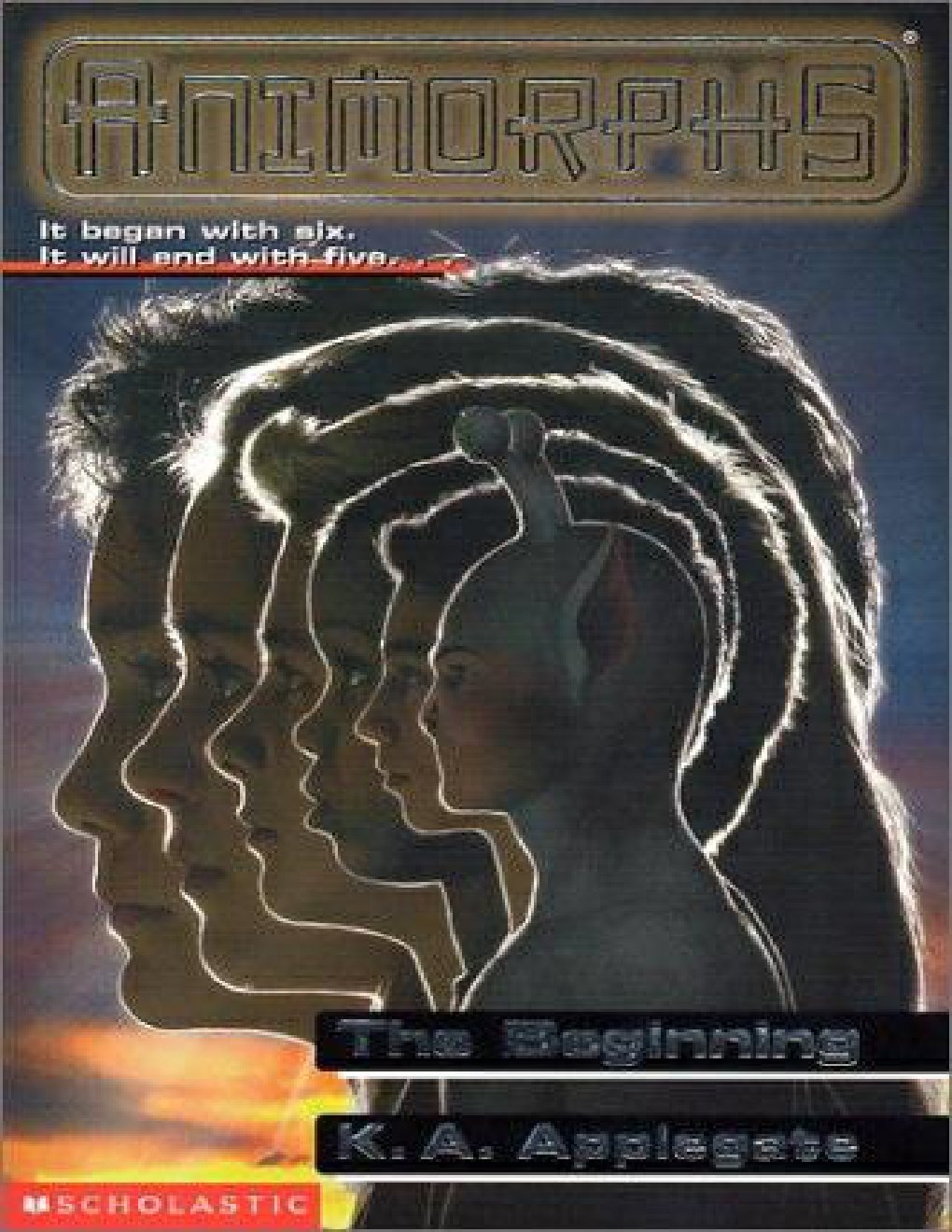 Cover of The Beginning (1996)