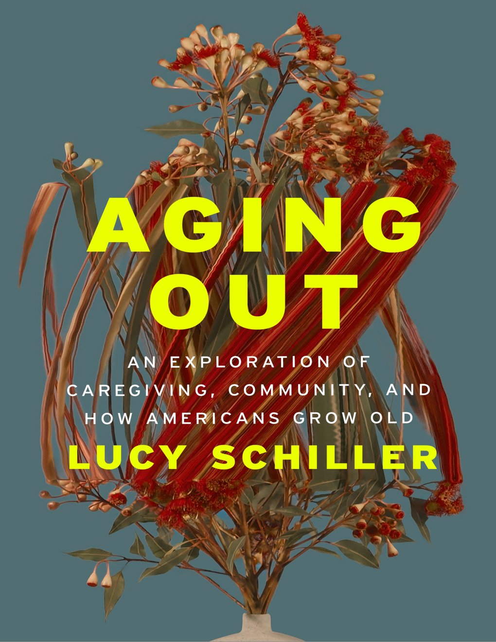 Cover of Aging Out