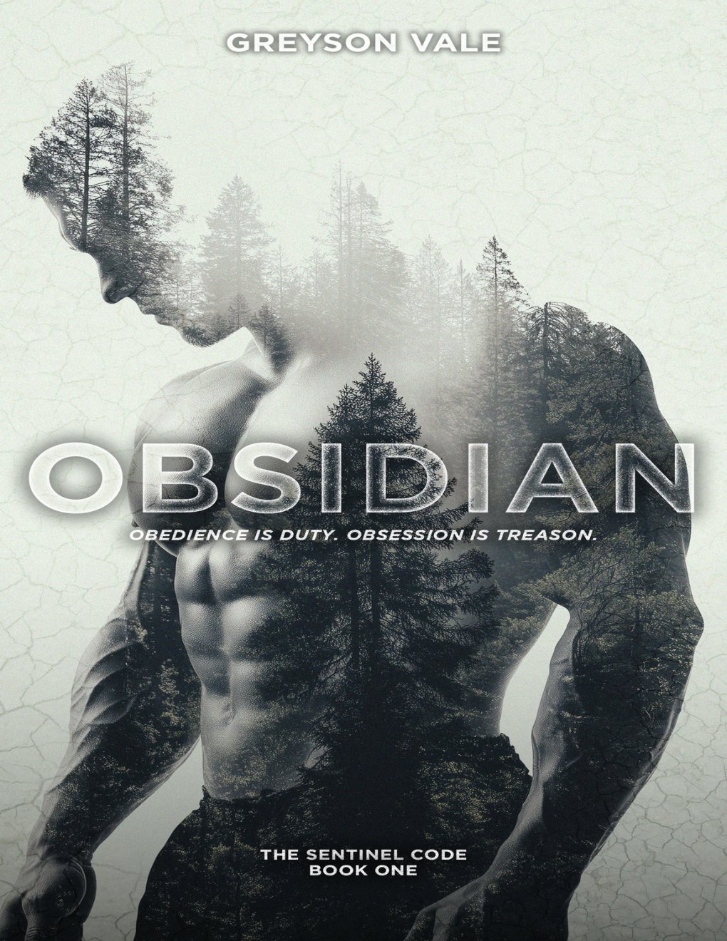 Cover of Obsidian: The Sentinel Code Book One