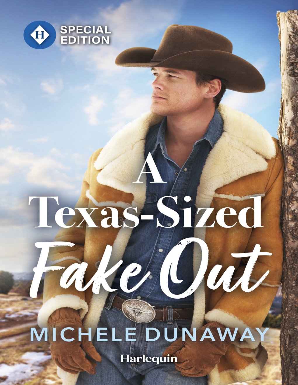 Cover of A Texas-Sized Fake Out