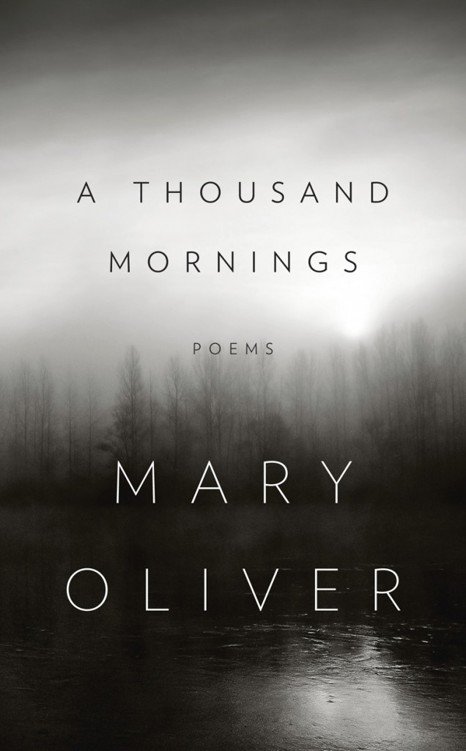 Cover of A Thousand Mornings (2012)