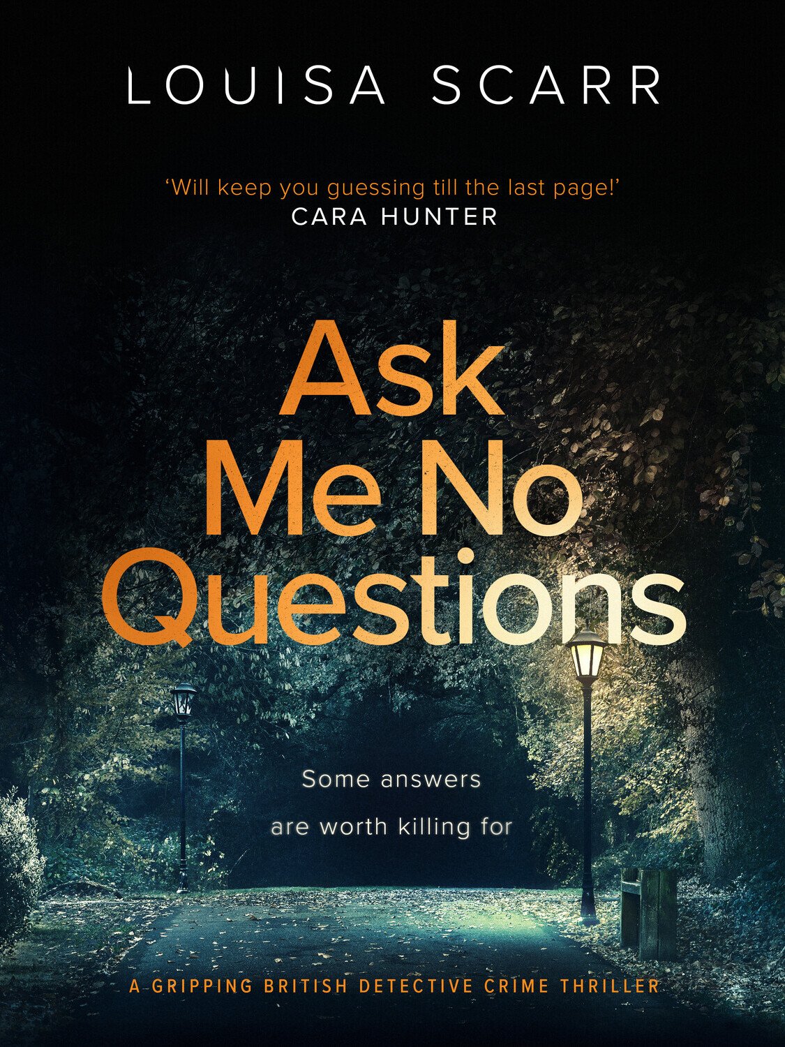 Cover of Ask Me No Questions (1988)