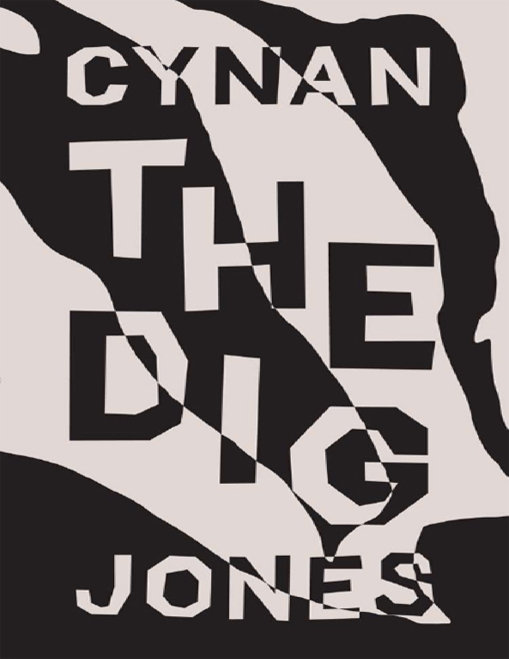 Cover of The Dig